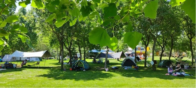 W020220622574571349123.png W020220622574571349123.png