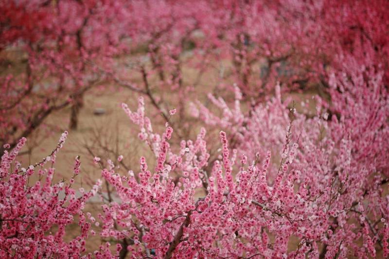 5310328150339693514.jpg 5310328150339693514.jpg