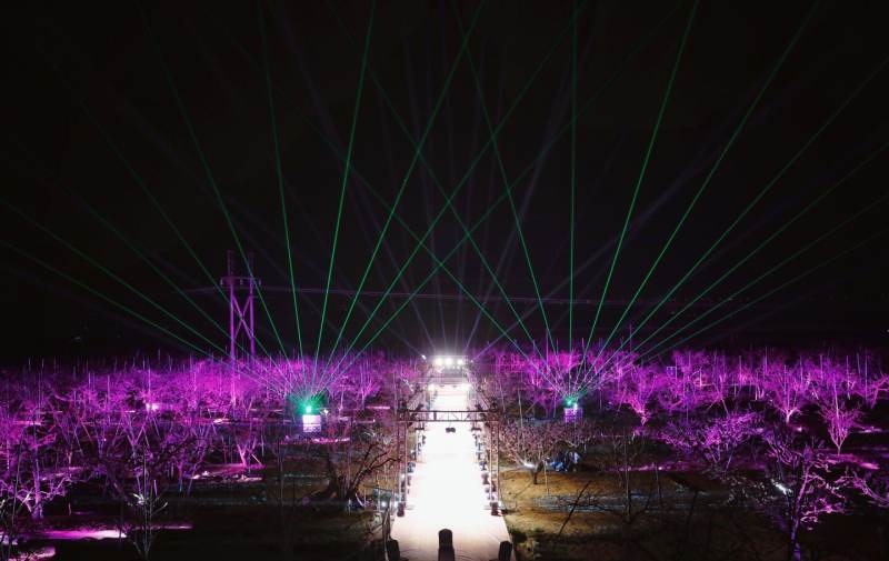 5310327999541879966.jpg 5310327999541879966.jpg