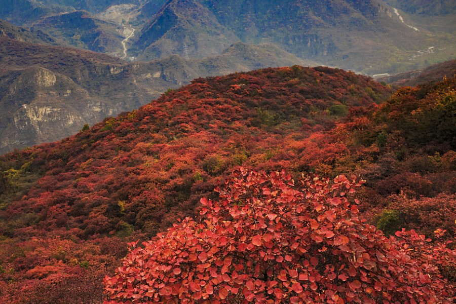 VCG111173737552_900x600.jpg VCG111173737552_900x600.jpg