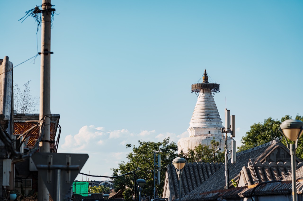 19北京市白塔寺管理处(图虫).jpeg 19北京市白塔寺管理处(图虫).jpeg