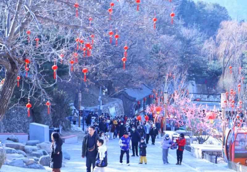 图片 3.jpg 图片 3.jpg