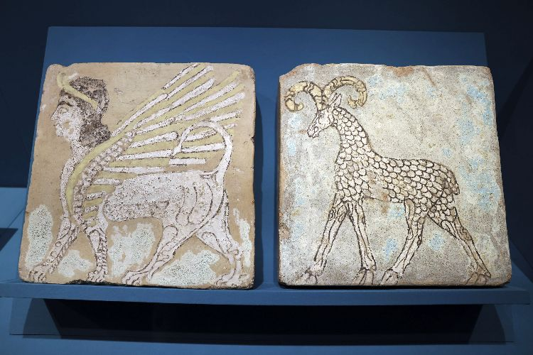 图片9.png 图片9.png