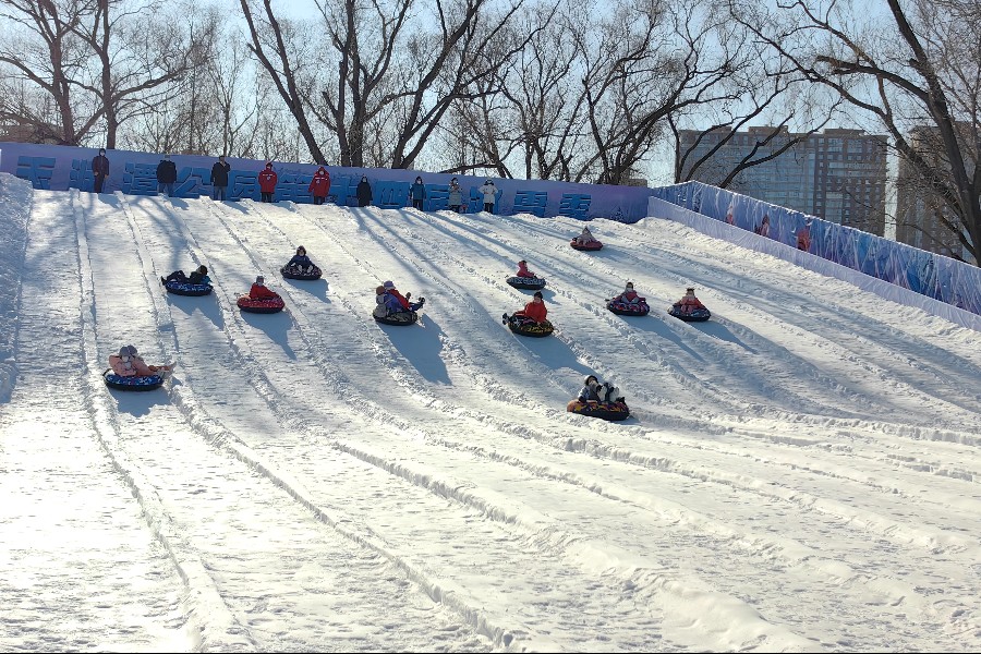 玉渊潭公园雪场 游客3_900x600.jpg