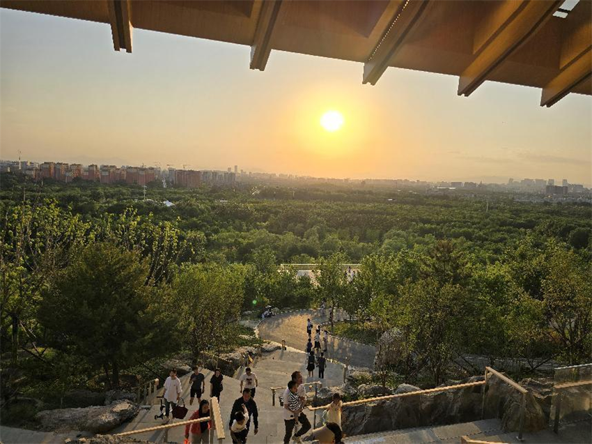 图片3.png 图片3.png