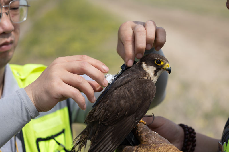 图片 3.png 图片 3.png