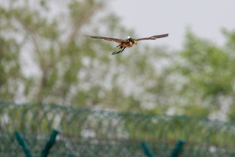 图片 4.png 图片 4.png