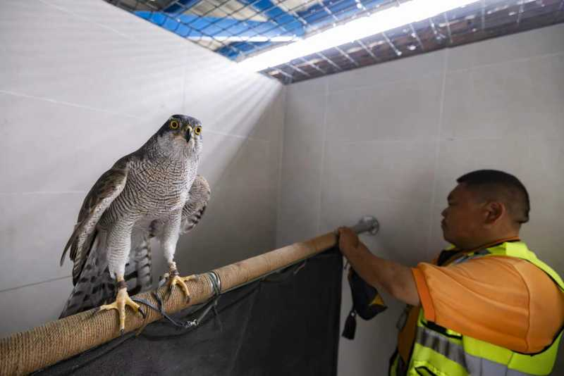 图片 5.png 图片 5.png