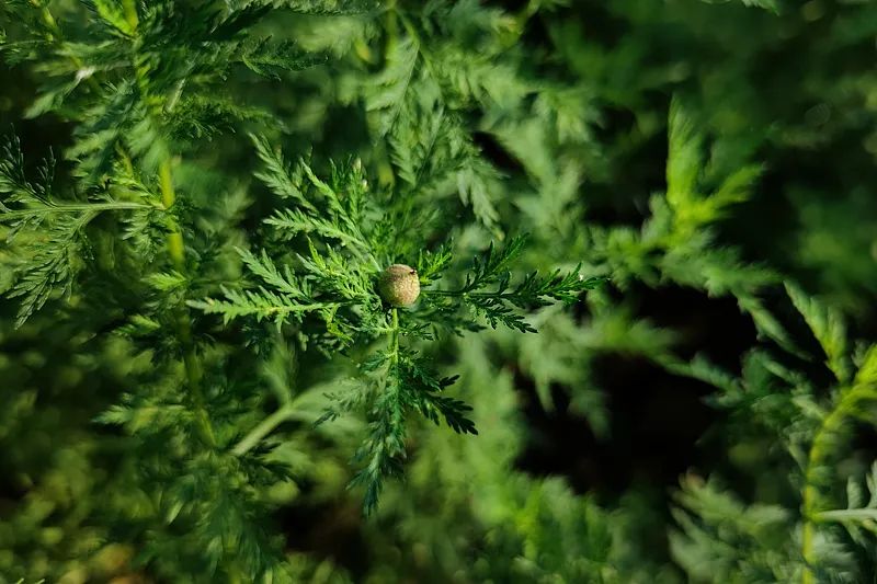 内容页 来源VCG.jpg