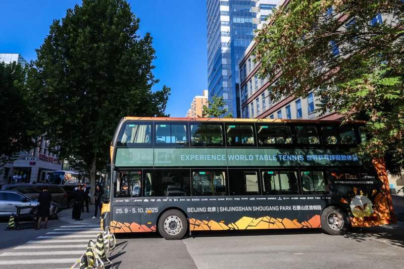 内容 新京报 800 .jpg