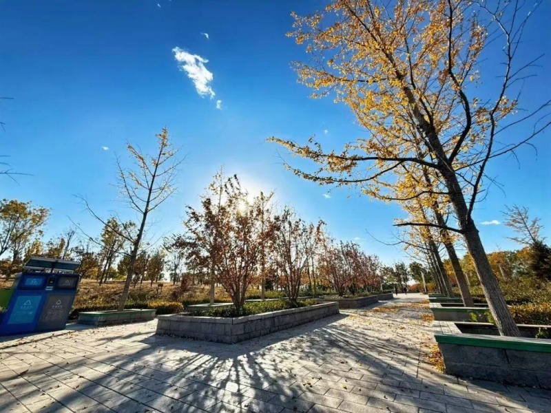 03 (1).jpeg 03 (1).jpeg