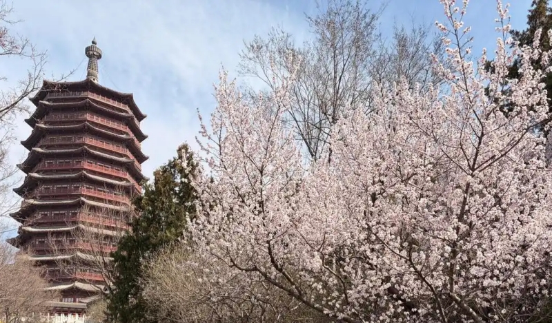 北京日报 正文1.jpg