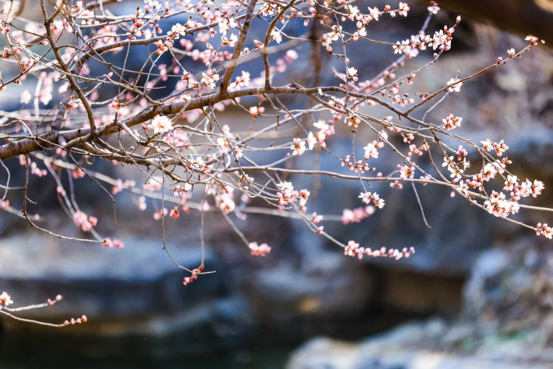 图片3 手动800.png