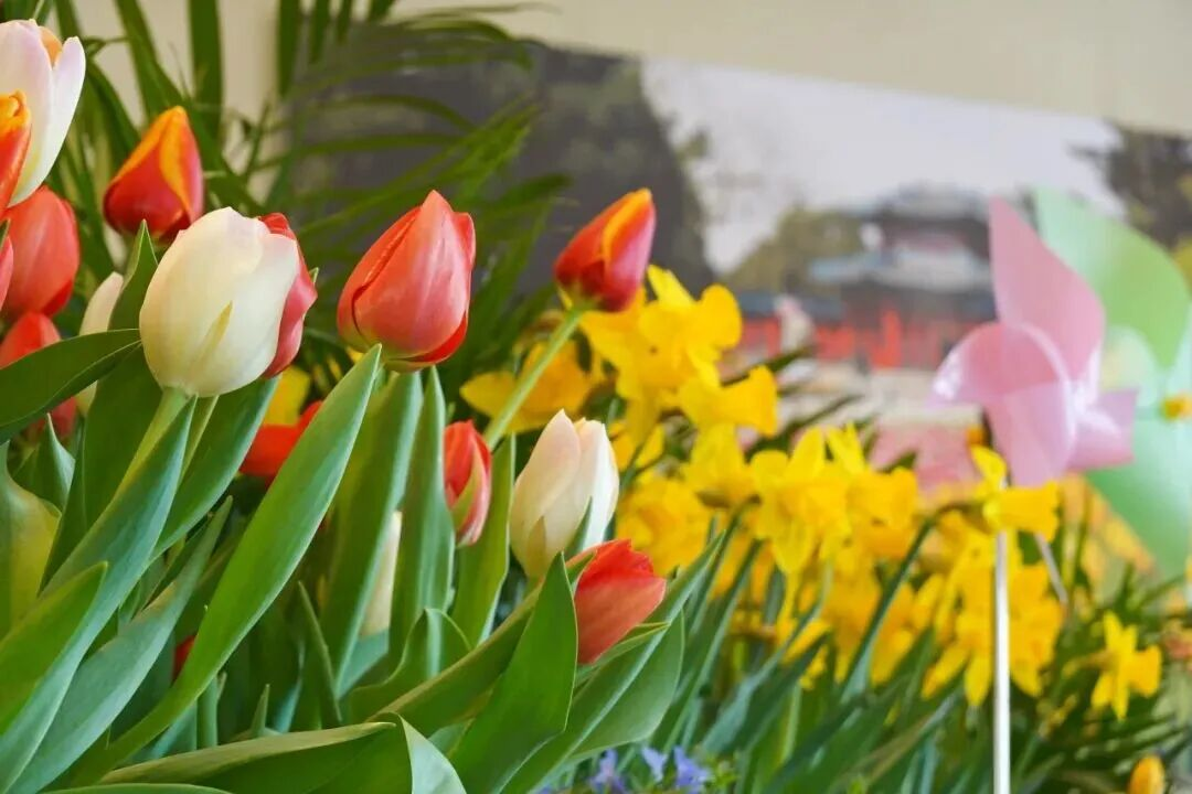 图片4 手动800.png