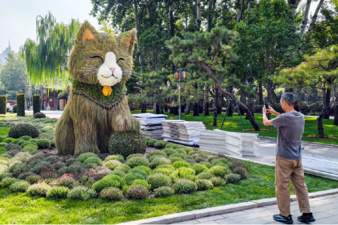图片.png