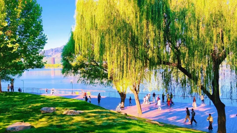 图片6.png 图片6.png