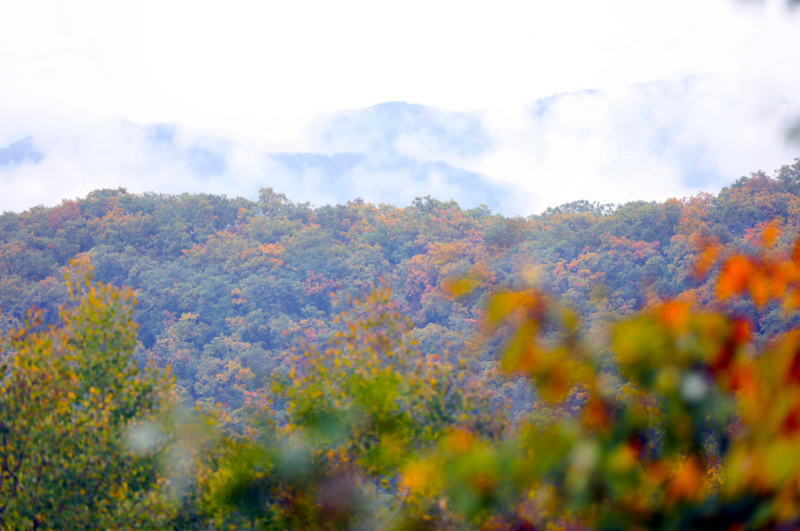 内容页 图源北京文旅.png