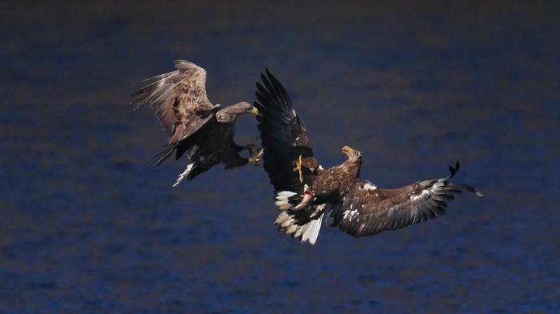 刘彤 摄于西峪水库18.jpg 刘彤 摄于西峪水库18.jpg