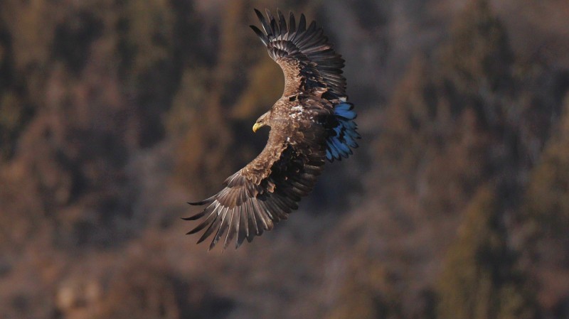 刘彤 摄于西峪水库15.jpg 刘彤 摄于西峪水库15.jpg