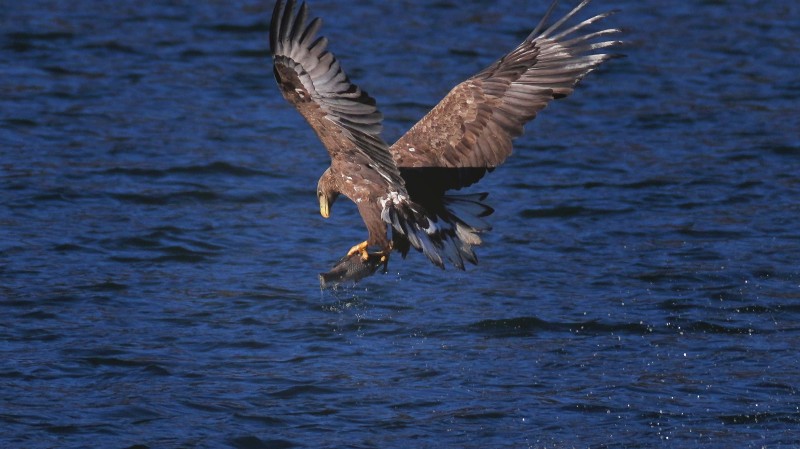 刘彤 摄于西峪水库14.jpg 刘彤 摄于西峪水库14.jpg