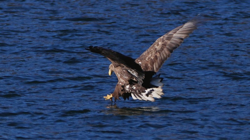 刘彤 摄于西峪水库9.jpg 刘彤 摄于西峪水库9.jpg