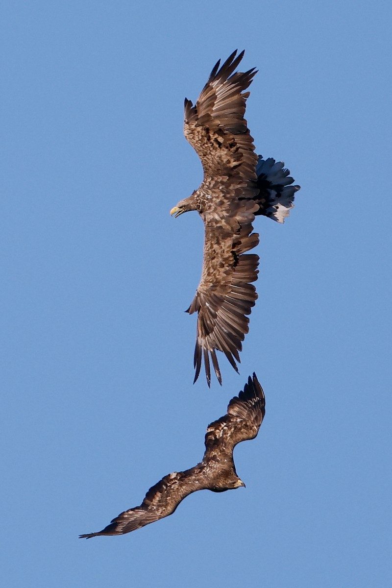 刘彤 摄于西峪水库5.jpg 刘彤 摄于西峪水库5.jpg