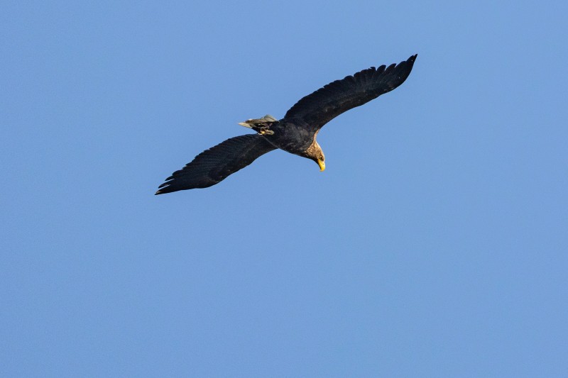刘彤 摄于西峪水库4.jpg 刘彤 摄于西峪水库4.jpg