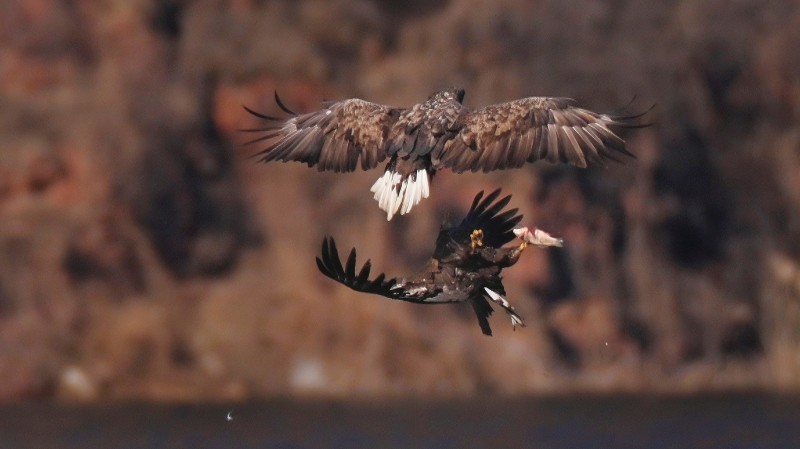 刘彤 摄于西峪水库22.jpg 刘彤 摄于西峪水库22.jpg