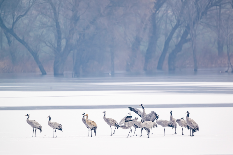 03 (1).png 03 (1).png