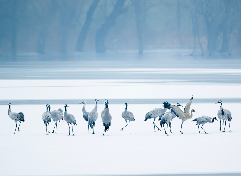 02 (1).png 02 (1).png