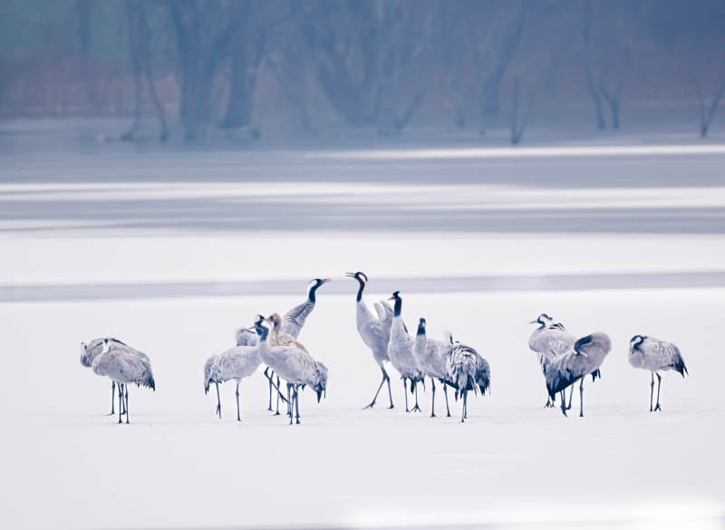 01 (1).png 01 (1).png