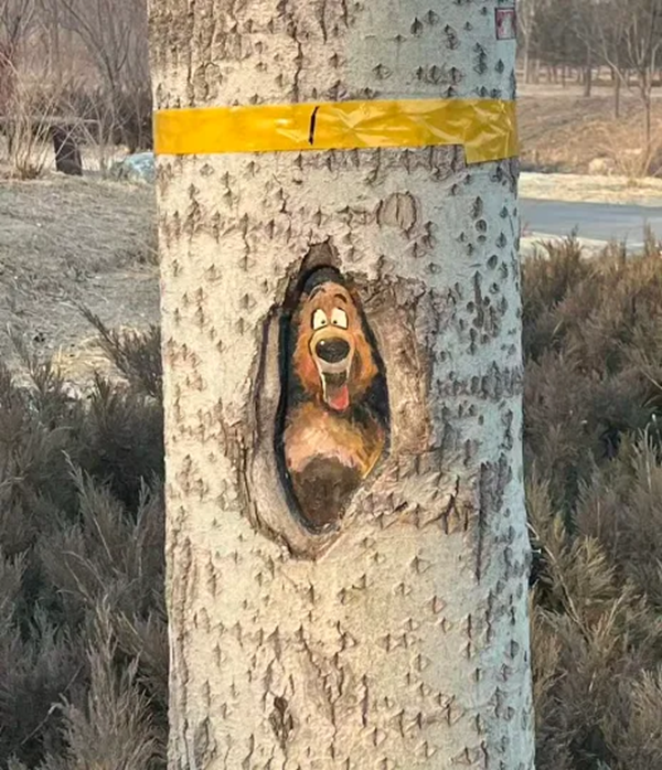 图片7.png 图片7.png