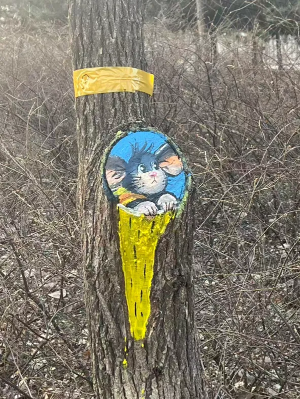 图片6.png 图片6.png