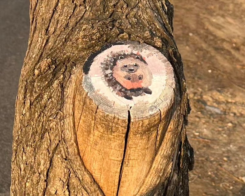 图片5.png 图片5.png