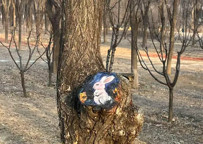 图片4.png 图片4.png