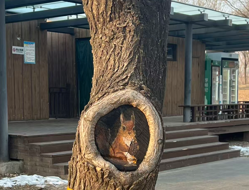 图片3.png 图片3.png