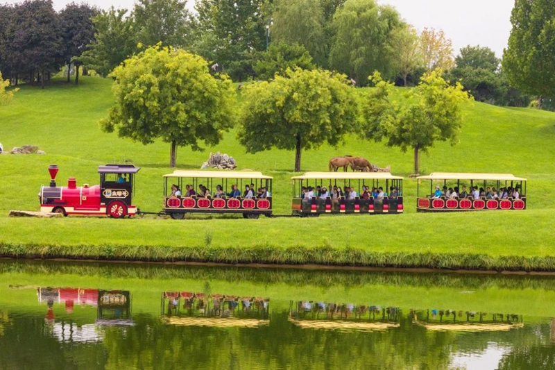 北京野生动物园2 800.png