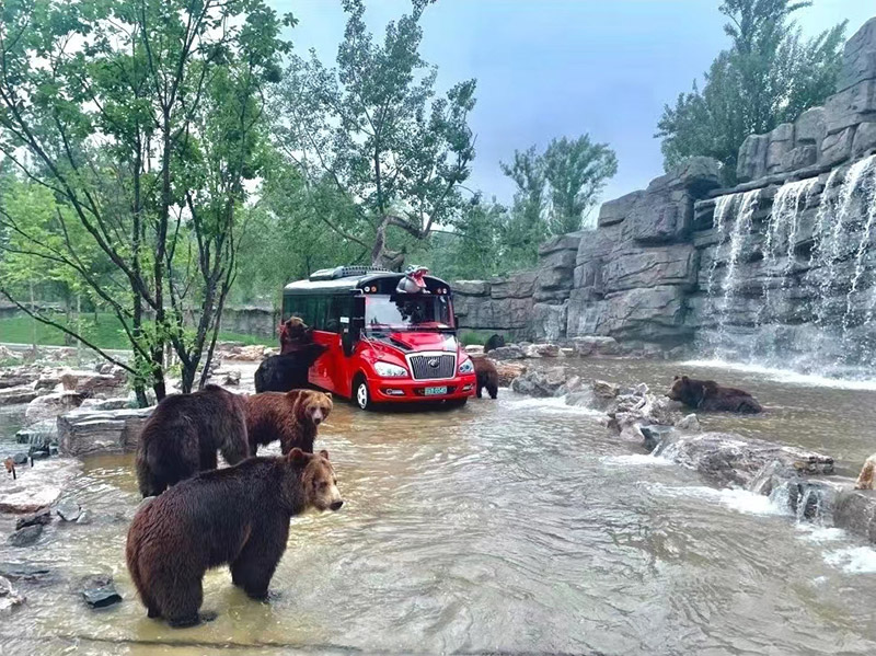 北京野生动物园3 800.png