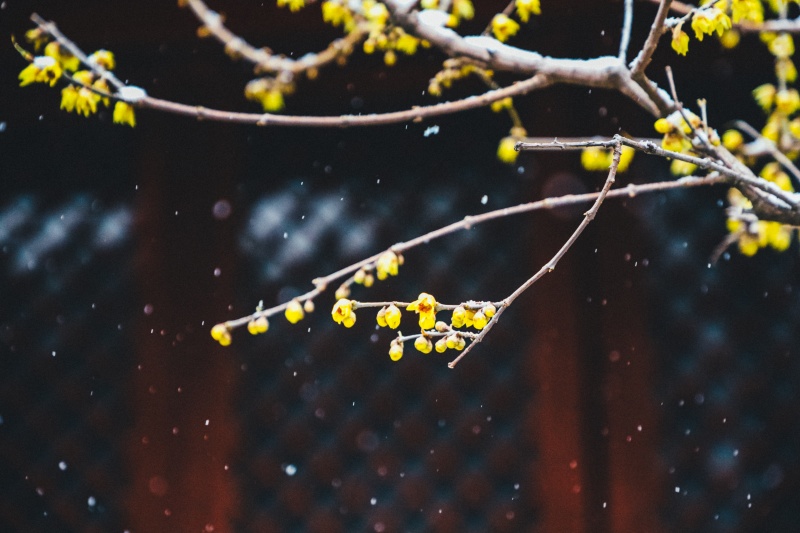 微信图片_2025-12-12_170834_890.jpg 微信图片_2025-12-12_170834_890.jpg