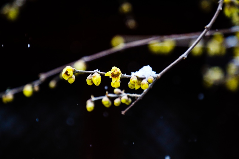 微信图片_2025-12-12_170829_403.jpg 微信图片_2025-12-12_170829_403.jpg