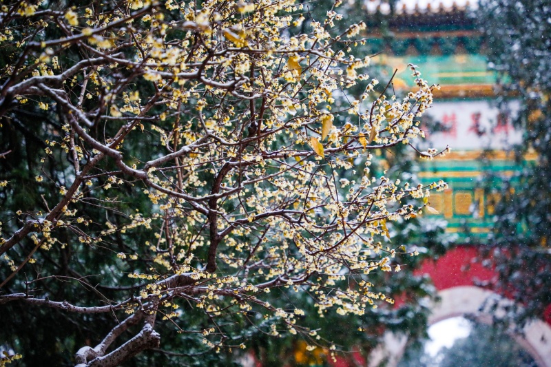 微信图片_2025-12-12_170825_128.jpg 微信图片_2025-12-12_170825_128.jpg