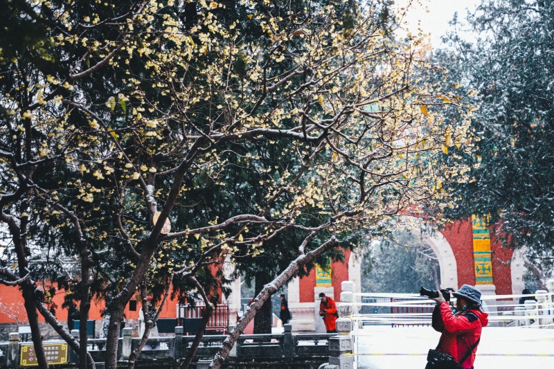 微信图片_2025-12-12_170819_361.jpg 微信图片_2025-12-12_170819_361.jpg