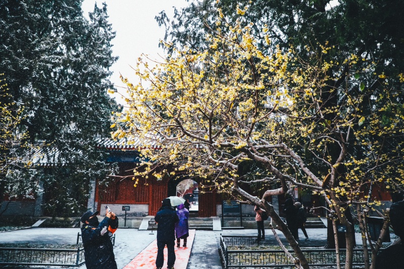 微信图片_2025-12-12_170810_370.jpg 微信图片_2025-12-12_170810_370.jpg