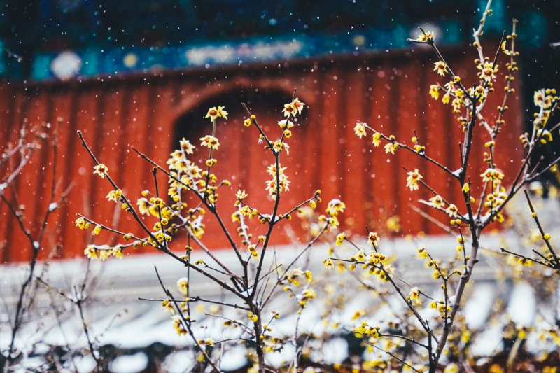 微信图片_2025-12-12_170805_841.jpg 微信图片_2025-12-12_170805_841.jpg