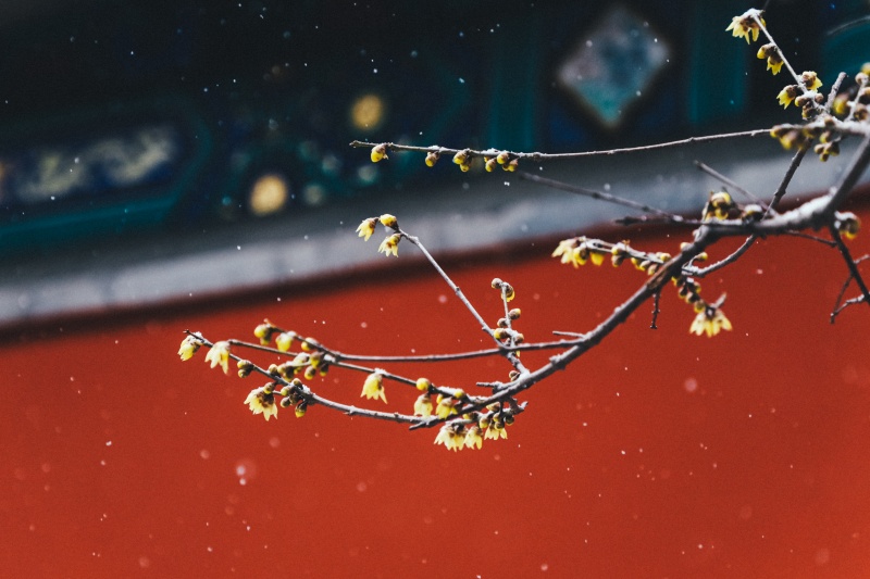 微信图片_2025-12-12_170801_007.jpg 微信图片_2025-12-12_170801_007.jpg