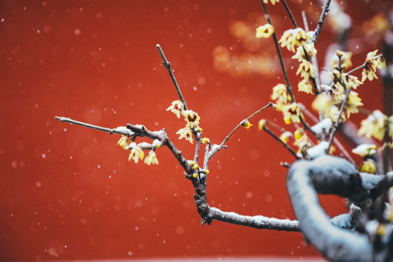 微信图片_2025-12-12_170756_534.jpg 微信图片_2025-12-12_170756_534.jpg