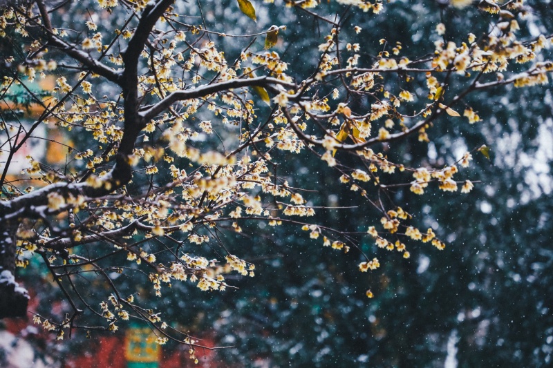 微信图片_2025-12-12_170737_768.jpg 微信图片_2025-12-12_170737_768.jpg