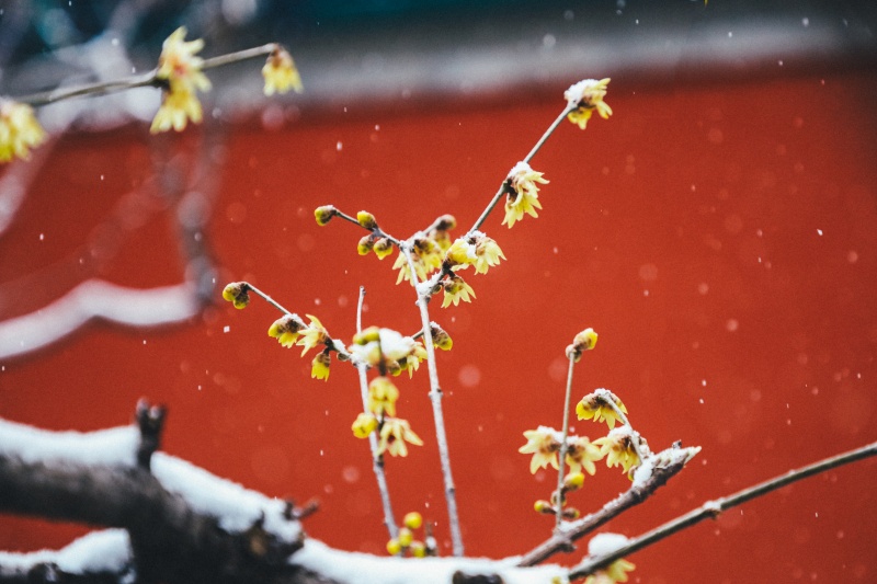 微信图片_2025-12-12_170838_954.jpg 微信图片_2025-12-12_170838_954.jpg