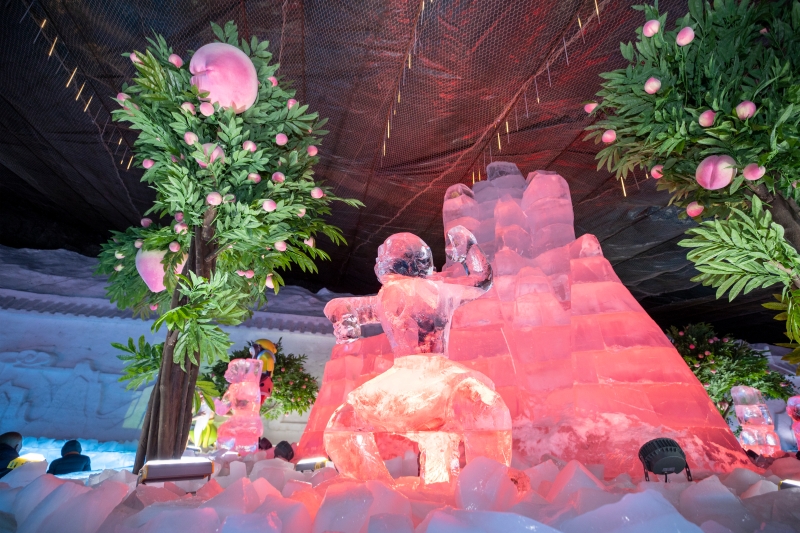 图片11.jpg 图片11.jpg