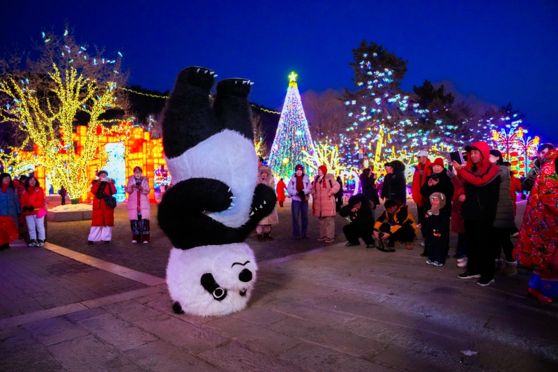 图片7.jpg 图片7.jpg